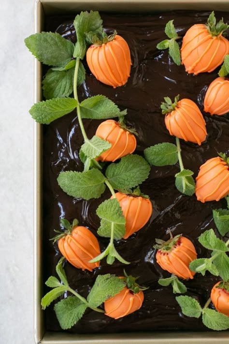 Turn your chocolate cake into a "pumpkin patch" with a chocolate ganache frosting, dipped strawberries, and basil. #californiastrawberries #halloween #halloweendesserts #strawberrydesserts #pumpkinpatchcake #pumpkindesserts #halloweenrecipes #diy #baking #holidaydesserts Pumpkin Patch Cake, Postres Halloween, Recetas Halloween, Cake With Strawberry, Chocolate Pumpkin, Halloween Food Treats, Halloween Baking, Strawberry Dip, Strawberry Desserts