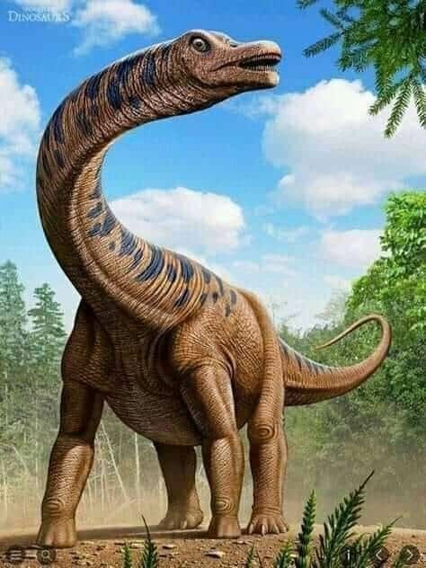 Waa xayawaan dunida ka dabar go'ay Dinosaur Images Pictures, Pictures Of Dinosaurs, Prehistoric Planet, Paradise Pictures, Cinderella Blue, Dinosaur Train, Eagle Painting, Largest Dinosaur, Dinosaur Park