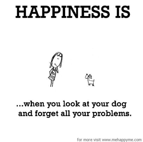 Happiness is when you look at your dog and forget all your problems.: Happy Me, Dog Rules, Rescue Dog, Dog Boarding, Crazy Dog, Animal Quotes, Dog Quotes, Happy Thoughts, Happiness Is