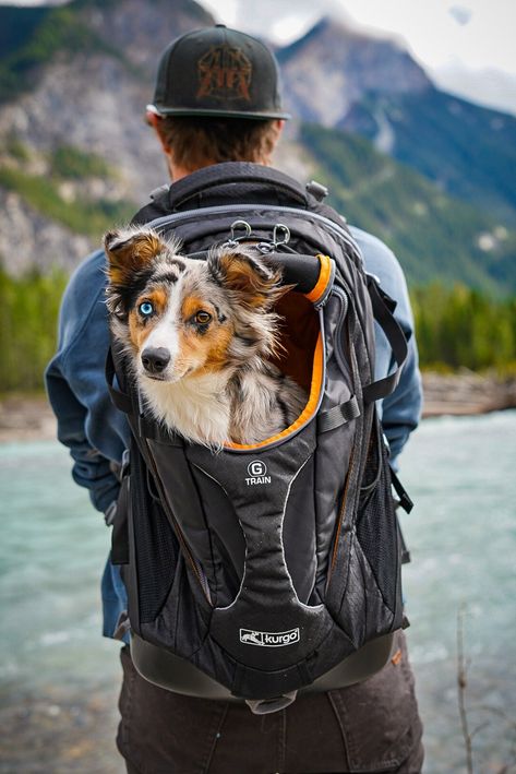 Dog Backpack, Hiking Dogs, Commute To Work, Water Dog, Dog Activities, Osprey Backpack, Hiking Gear, Pet Carriers, Pet Store