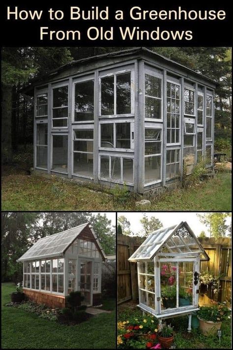 Diy Greenhouse Out Of Windows, Greenhouse From Windows Diy, Diy Greenhouse Windows Building, Build Greenhouse From Old Windows, Window Shed Ideas, House Made Of Windows, Window Greenhouse Diy How To Build, Greenhouse Made Out Of Windows, Greenhouse With Used Windows