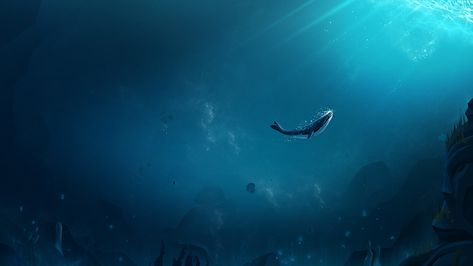 52hz Whale, Wallpaper Whale, Whales Wallpaper, Whale Wallpaper, Sea Stuff, Arte Peculiar, Ocean Air, Whale Art, Mac Wallpaper