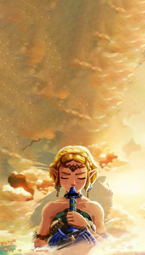 Zelda Anime, Charlotte Anime, Princesa Zelda, Zelda Tears Of The Kingdom, Zelda Twilight Princess, Tears Of The Kingdom, Link Zelda, Nintendo Art, Superhero Wallpaper