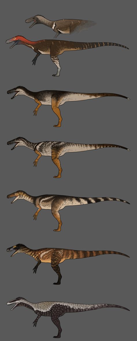 Raptor Reference, Dinosaur Reference, Jurassic Craft, Funny Lizards, Prehistoric Animals Dinosaurs, Dinosaur Pictures, Ark Survival Evolved, Paleo Art, Incredible Creatures