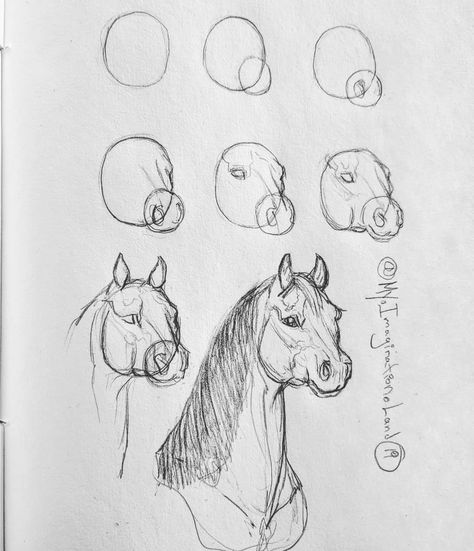 Draw A Horse, Horse Art Drawing, I Love Art, Fine Art Drawing, Sketches Tutorial, Horse Drawings, My Imagination, Horse Art, Happy Weekend