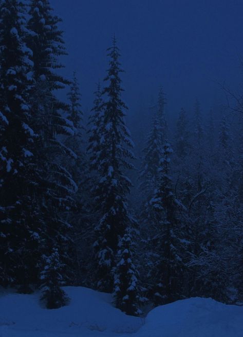 Dark Winter Background, Dark Blue Christmas Aesthetic, Snowy Forest Night, Snowy Forest Wallpaper, Winter Phone Layout, Snowing Aesthetic Wallpaper, Dark Blue Forest, 2000s Christmas, Navy Blue Theme