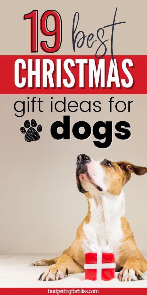 Looking for gift ideas for your favorite furry friend this holiday season? Find 19 Christmas gift ideas for dogs to show your special pooch just how much he means to you. Dog Lovers Basket Ideas, Christmas Gifts From Dog, Christmas For Dogs Ideas, Christmas Gifts For Dogs Ideas, Dog Gifts For Christmas, Dog Gifts For Dogs, Dog Present Ideas, Dog Christmas Ideas, Dog Christmas Gift Ideas