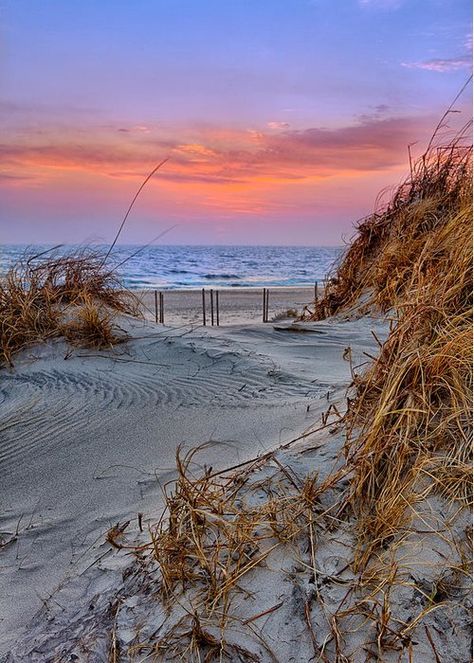 Carolina Homes, Soft Autumn Color Palette, Orange Beach Alabama, Outer Banks North Carolina, North Carolina Homes, The Outer Banks, Carolina Beach, Fall Color Palette, Soft Autumn