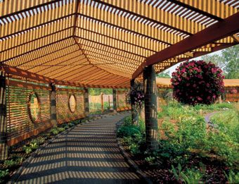 Shaded Walkway, Maori Architecture, Pediatric Hospital, Wooden Canopy, Children Park, Missouri Botanical Garden, Areas Verdes, Garden Arches, Brick Exterior House