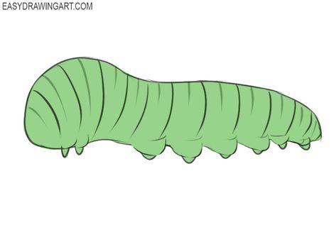 Watercolor Caterpillar, Pencil And Paper, Simple Green, Animated Drawings, Easy Drawing, Mood Board Design, Learn How To Draw, Rock Crafts, Room Art