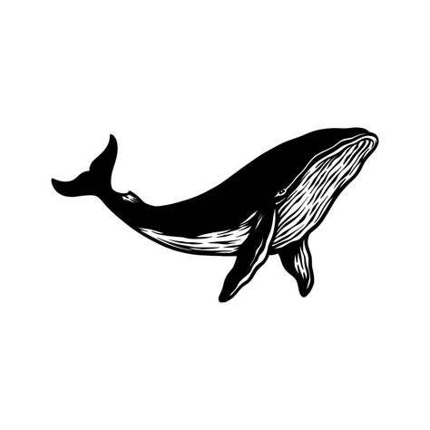 Whale Illustration Art, Whale Sketch, Whale Silhouette, Print Making Designs, Whale Fish, Whale Drawing, Cartoon Whale, Whale Illustration, Drawn Fish