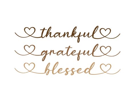 Elevate your autumn wardrobe with this Christian shirt design featuring the words "Thankful, Grateful, Blessed". Perfect for Thanksgiving celebrations, this Cricut vector design is a stylish expression of gratitude. Get ready to embrace the season with this heartfelt shirt design.
#VectorBackgrounds #background #ad Grateful Thankful Blessed Tattoo Ideas, There Is Always Something To Be Thankful, Thanksgiving Christian, Blessed Images, Thankful Grateful Blessed Shirt, Christian Shirts Designs, Png Cricut, Autumn Svg, Svg Thanksgiving