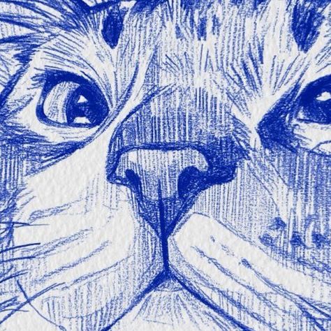 Pet Drawing Ideas, Cat Scribble Art, Cat Sketches Pencil, Cat Sketchbook Page, Blue Pencil Drawing, Petting Cat Drawing, Art Inspo Pencil, Cat Sketch Pencil, Christmas Pencil Drawings