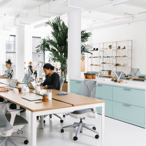 Startup Office Space, Startup Office Design, Cheap Office Furniture, Startup Office, Design Studio Workspace, Cool Office Space, Modern Office Space, Modern Office Interiors, Best Office Chair