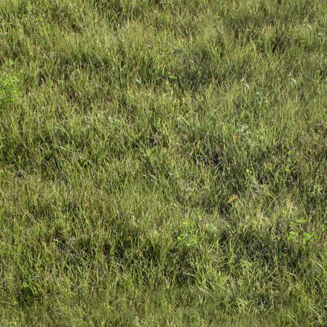 Texture Other grass wild weed Grass Texture Seamless, Grass Texture, Grasses Landscaping, Wild Grass, Bird Quilt, Photoshop Textures, Green Quilt, Green Grass, Lush Green