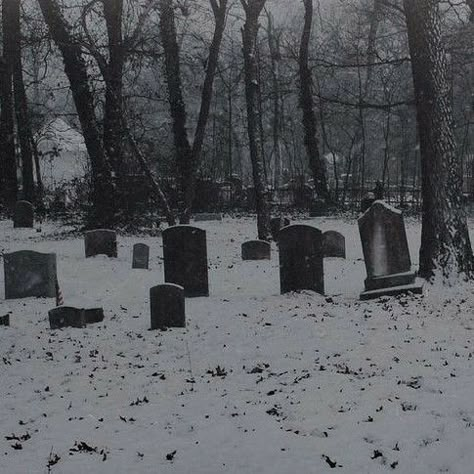 Nuclear Winter, The Ancient Magus Bride, Dark Christmas, Winter Aesthetic, Graveyard, Dc Universe, The Snow, Dark Aesthetic, Cemetery