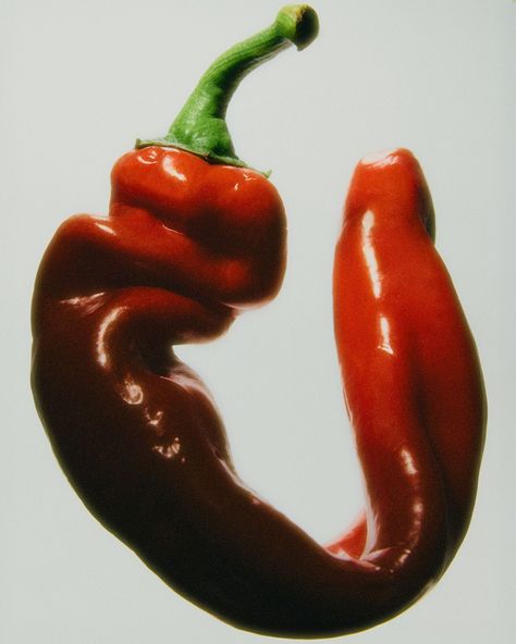 Red mild sexy pepper 🌶️ Fake Skin Tattoo, Happy Hour Specials, Food Art Photography, Some Like It Hot, High Art, Food Poster, It's Hot, Red Aesthetic, No 5