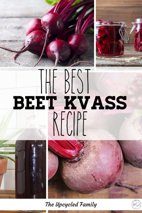 Kvass Recipe How To Make, Beet Kvass Recipe, Kvass Benefits, Kvass Recipe, Wahls Diet, Fermentation Station, How To Make Beets, Survival Recipes, Gut Protocol