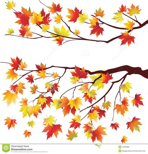 Autumn maple tree branches. On white background #Sponsored , #ad, #Advertisement, #maple, #background, #white, #Autumn Palm Tree Tattoo, Tree House Designs, Tree Clipart, Tree Photography, Maple Tree, Tree Illustration, Tree Drawing, Tree Tattoo, Tree Crafts