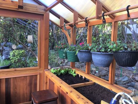 Options — Cedar-Built Greenhouses Greenhouse Organization Ideas, Greenhouse Extension, Greenhouse Ideas Interior Design, Greenhouse Organization, Backyard Greenhouse Ideas, Yard Greenhouse, Timber Porch, Garage Greenhouse, Greenhouse Layout