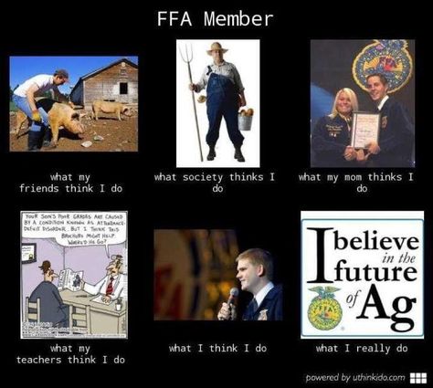 . Ffa Memes, Ag Club, Ffa Banquet, Ffa Ideas, Teach Ag, Livestock Showing, Cowgirl Secrets, Farm Quotes, Ag Education