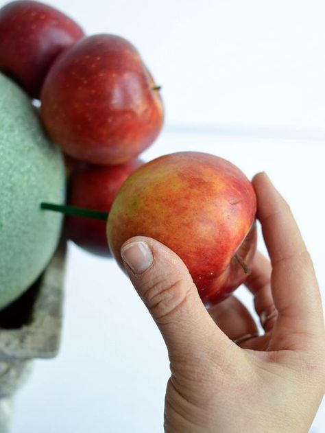 Apple Table Decorations, Apple Centerpieces, Topiary Centerpieces, Topiary Diy, Apple Decor, Basket Centerpieces, Silver Pumpkins, Feather Centerpieces, Topiary Garden