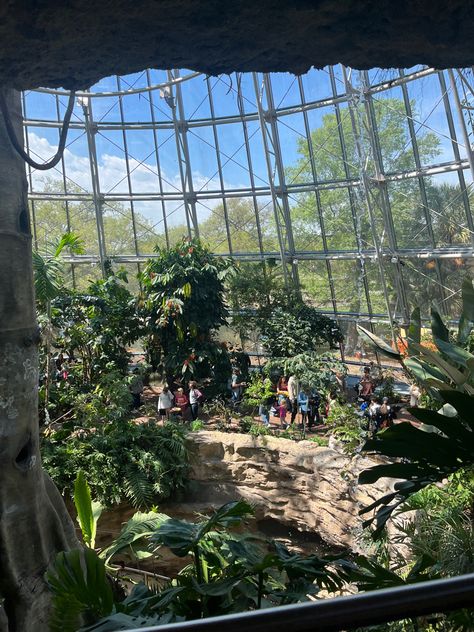 #butterfly #houston #houston #naturelovers Science Museum, Butterfly Garden, Houston, Texas, Science, Nature