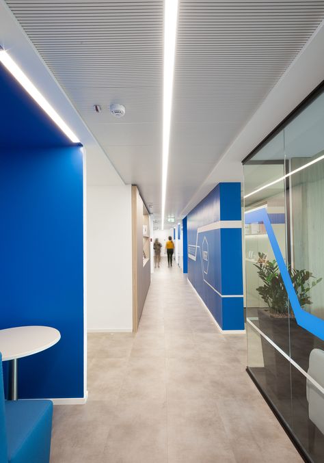 Merz Pharma Offices - Milan - 2 Glass Graphics, Glass Wall Office, Working Office, Blue Interior Design, Office Signage, Open Space Office, Pharmaceutical Company, Office Interior Design Modern, Modern Office Interiors