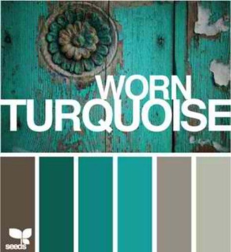 gray teal coral living room | dark grey with a teal/aqua and coral accents for living room? | For the Home Bd Design, Family Room Makeover, Design Seeds, Design Case, Colour Schemes, Color Pallets, Room Colors, My New Room, Design Branding