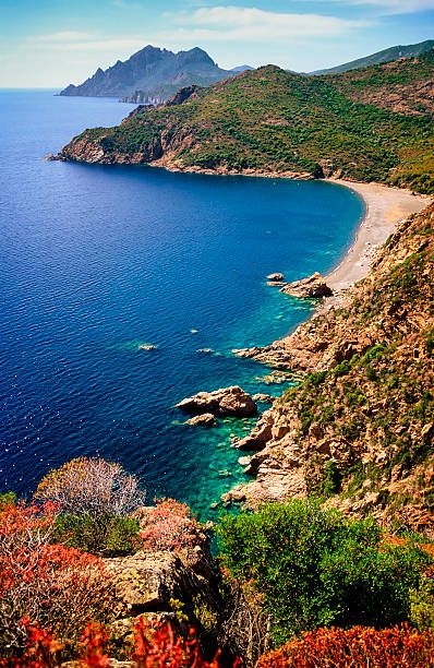 Calvi Corsica, Houses In France, Electro Music, Visit France, Address Book, Lyon France, World Cities, On The Rocks, City Landscape