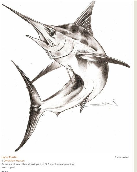 Excellent art work Sailfish Tattoo, Marlin Drawing, Ocean Theme Tattoos, Marlin Fish, Animal Drawings Sketches, Nautical Tattoo, Theme Tattoo, Blue Marlin, Shark Tattoos