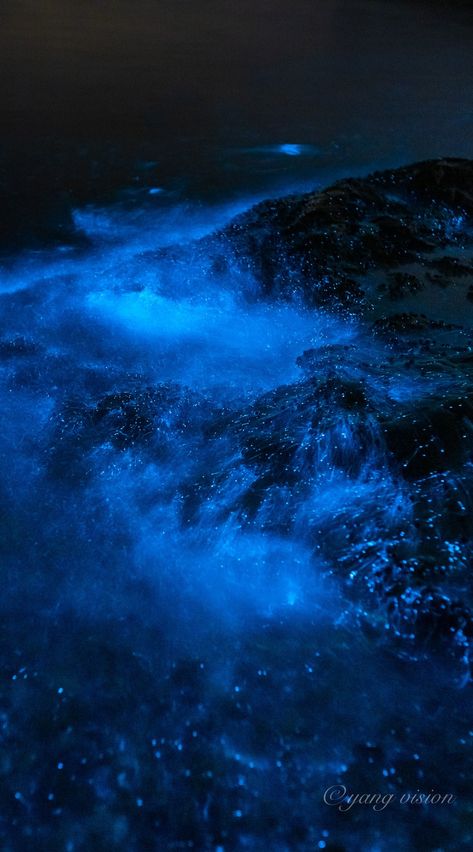 Ocean Underwater Aesthetic Wallpaper, Oceancore Aesthetic Wallpaper, Bioilluminescent Sea, S24 Ultra Wallpaper Aesthetic, Sea Of Stars Wallpaper, Sea Of Stars Aesthetic, Blue Aesthetic Dark Wallpaper, Dark Blue Ocean Aesthetic, Deep Ocean Aesthetic