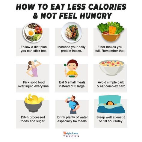 Eat Less Calories, Calorie Deficit Diet, Daily Protein Intake, Weightlifting Gym, Healthy Food Motivation, Feeling Hungry, Fit Motivation, Calorie Deficit, Small Meals