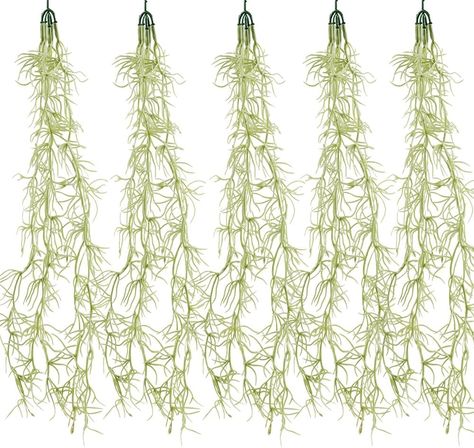 Amazon.com: COTSEN 5 Pack Spanish Moss Faux Greenery Moss Fake Vines Moss Hanging Plants for Potted Plants Artificial Hanging Moss Garland Used for Family Indoor and Outdoor Gardens Decoration : Home & Kitchen Moss Garland, Flower List, Moss Hanging, Hanging Moss, Fake Vines, Fake Moss, Garden Mall, Jungle Decorations, String Of Pearls Plant