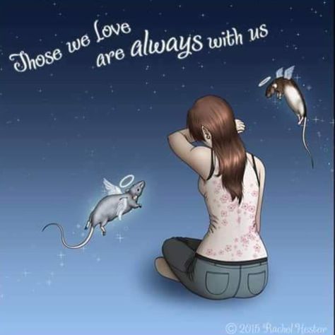 I really hope so. I've been thinking a ton about all of the rats that I've lost over the years. I miss every single one of them so very… Rat With Wings, Rat Ideas, Rat Art, Pet Rat, A Rat, Personalized Posters, Pet Rats, Animal Facts, Memories Quotes