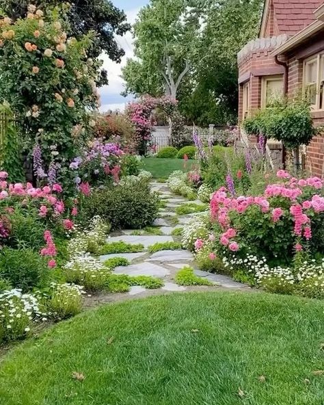 Cottage Roses, Arbor Trellis, Cute Cottages, Colorful Arrangements, A Single Rose, Trellis Fence, Cascading Flowers, Fence Doors, Front Yard Garden Design