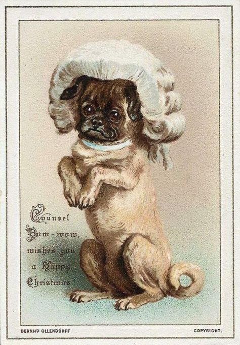 (2) Weird Christmas (@weird_christmas) / Twitter Weird Christmas, Victorian Christmas Cards, Victorian Cards, Vintage Christmas Postcards, Old Greeting Cards, Vintage Holiday Cards, Creepy Vintage, Weird Vintage, Dog Christmas Card