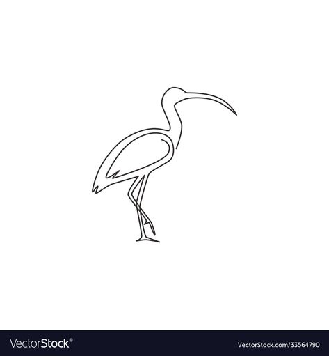 Ibis Bird Drawing, Ibis Bird Tattoo, Ibis Tattoo, Ibis Drawing, Ibis Bird, Drawing Elegant, Tattoos 2023, Logo Y, Drawing Doodles