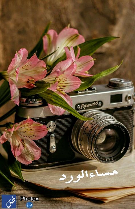 Random Objects Photography, Reference Objects, Fairy Light Photography, Aesthetic Rosa, Background Frames, Gardening Photography, Flatlay Photography, Painted Clothes Diy, Object Photography