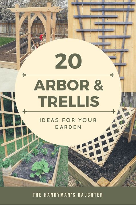 Looking for arbor or trellis ideas for your garden? Here are 20 amazing options to give your climbing vines the support they need to grow and thrive. These easy DIY trellis and arbor projects can have your garden looking amazing in no time! #trellis #arbor #garden #gardening #vines via @handymansdaught Grape Vine Trellis, Diy Arbour, Ladder Ideas, Pergola Diy, Vine Trellis, Wood Trellis, Diy Garden Trellis, Arbors Trellis, Trellis Ideas