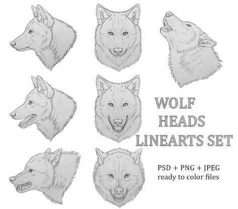 Head Reference Front View, Wolf Head Reference, Head Art Reference, Reference Front View, Wolf Head Drawing, Wolf Face Drawing, Sketch Head, Werewolf Drawing, Head Reference