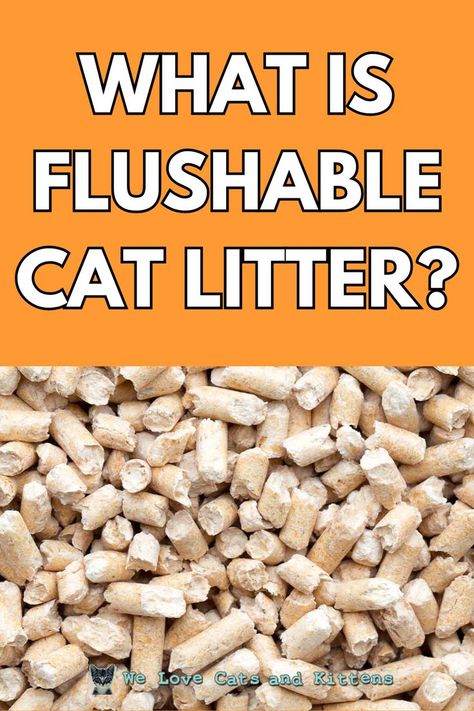 Flushable cat litter brands, also commonly referred to as biodegradable cat litter, is litter that uses different types of non-clay or non-silica materials while naturally breaking down when buried. Read the article for more! Cat Facts Funny, Cat Names Funny, Natural Cat Litter, Cat Behavior Facts, Different Types Of Cats, Funny Cat Names, Litter Tracking, Names Cat, Random Cat