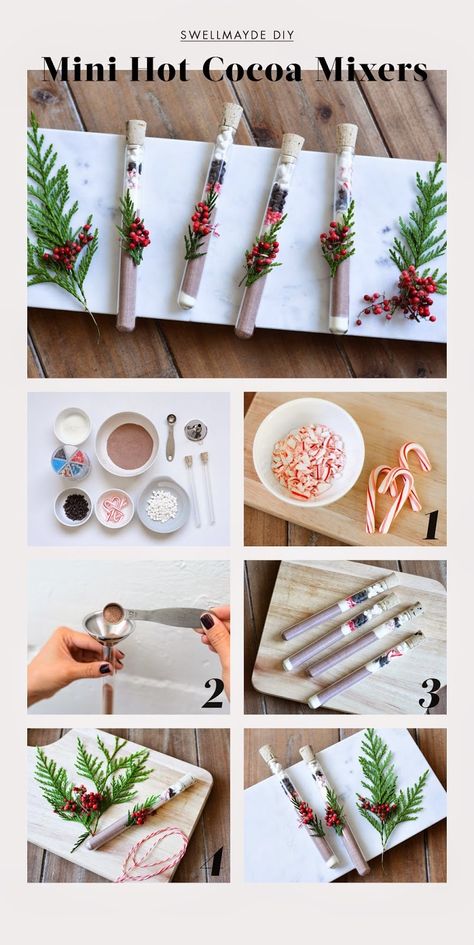 Test Tube Crafts, Tube Crafts, Diy Stocking, Winter Karten, Stocking Stuffers For Teens, Diy Stocking Stuffers, Science Crafts, Test Tubes, Diy Holiday Gifts