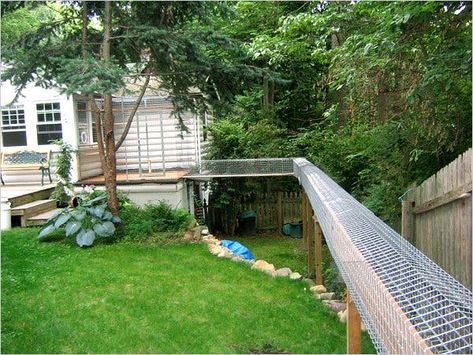 ‘Catio’ Enclosures Protect Cats Outside - The New York Times Cat Walkway, Outdoor Cat Tunnel, Cat Habitat, Cat Outside, Outdoor Pet Enclosure, Catio Ideas, Cat Fence, Cats Outside, Cat Enclosures