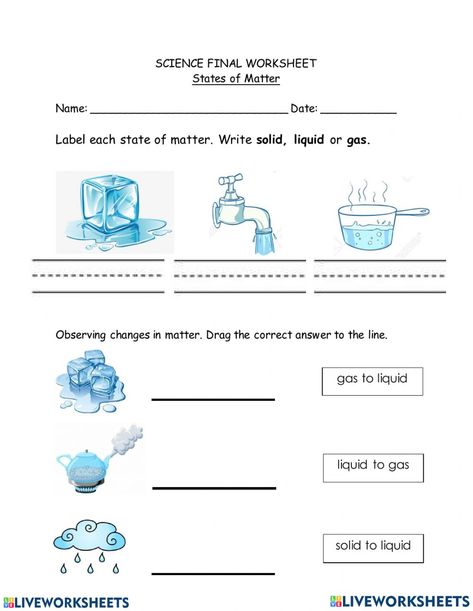 States Of Matter Worksheet Grade 4, Changes In Matter, States Of Matter Worksheet, 2nd Grade Spelling, Matter Worksheets, Matter Science, Grade Spelling, English Grammar Worksheets, States Of Matter