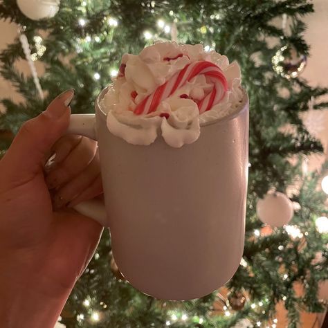 Chickens In The Winter, Peppermint Hot Cocoa, Holiday Aesthetic, Christmas Dreaming, Peppermint Hot Chocolate, Christmas Hot Chocolate, Vanilla Candle, Chocolate Mint, I Love Winter