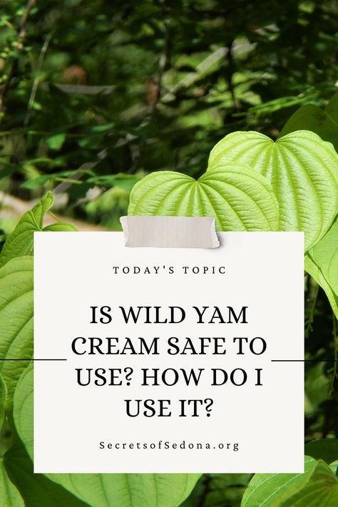 Is wild yam cream safe to use? Learn how to use wild yam cream and the safety behind wild yam hormone balancing cream. Yam Cream Benefits, Wild Yam Cream Benefits, Wild Yam Benefits For Women, Wild Yam Cream Recipe, Wild Yam Benefits, Wild Yam Cream, Progesterone Cream, Medicine Herbs, Irregular Menstrual Cycle