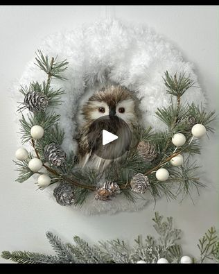 14K views · 502 reactions | Dollar Tree Christmas Owl Wreath DIY | Sharing a beautiful owl wreath that you can keep up through winter. #christmaswreath #owlwreath #winterwreath #dollartreechristmas | By Country Lily Decor | This project, you'll need two
of Dollar Tree's microfiber duster mop pads. If you pull
the fibers back, you can see where they are sewn to the pad.
We're going to cut this right in the middle directly in half
but you don't want to cut where the fibers are sewn on there.
You could then take that section, separate it, and cut
those in half to make four strips but I used two of the
mop pads because I wanted my wreath to be nice and fluffy.
We're going to use one of Dollar Tree's smallest wired
wreath forms that come two in a pack and on the backside of the
wreath form, we' Butterfly Wreath Diy, Christmas Owl Wreath, Lily Decor, Microfiber Duster, Owl Wreath, Butterfly Wreath, Tin Snips, Owl Wreaths, Mini Vacuum