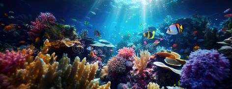 Tropical sea underwater fishes on coral reef. Aquarium oceanarium wildlife colorful marine panorama landscape nature royalty free stock image Book Imagination, Coral Reef Photography, Environment Background, Panorama Landscape, Coral Reef Aquarium, Sea Underwater, Tropical Sea, Underwater Fish, Reef Aquarium