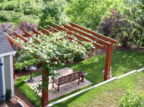 Timber Frame Pergola, Backyard Structures, Rustic Pergola, Patio Pergola, Building A Pergola, Garden Vines, Wooden Pergola, Backyard Pergola, Evergreen Plants